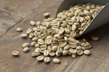 Indian Malabar green unroasted coffee beans