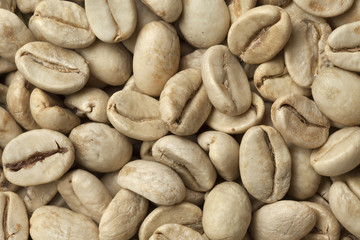  Malabar green unroasted coffee beans