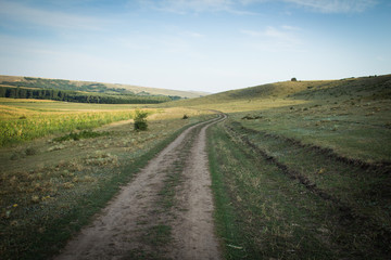 Fototapeta na wymiar Dirt road in the countryside