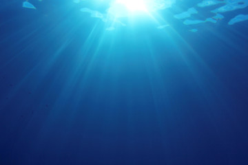 Fototapeta na wymiar Natural underwater background photo
