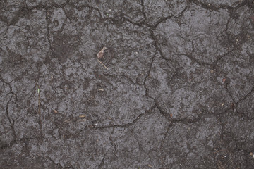 mud background