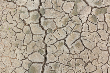 Ground cracked from dehydration.