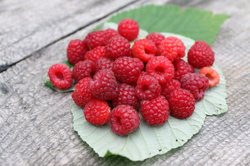 Scattering of the fresh-picked forest raspberries (Rubus idaeus) lying on the raspberry leaves