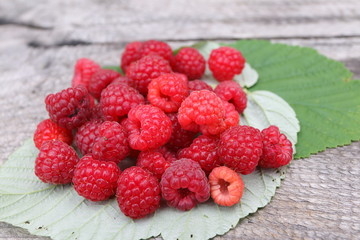 Scattering of the fresh-picked forest raspberries (Rubus idaeus) lying on the raspberry leaves