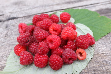 Scattering of the fresh-picked forest raspberries (Rubus idaeus) lying on the raspberry leaves