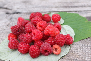Scattering of the fresh-picked forest raspberries (Rubus idaeus) lying on the raspberry leaves
