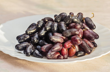 Ripe black grapes on white