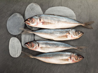 Small fishes and stones on the dark slate board