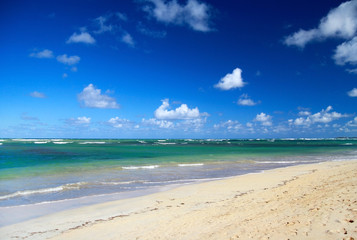 Fototapeta na wymiar Tropical sandy beach on caribbean sea 