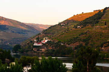 Fototapeta na wymiar river Douro valley, Portugal