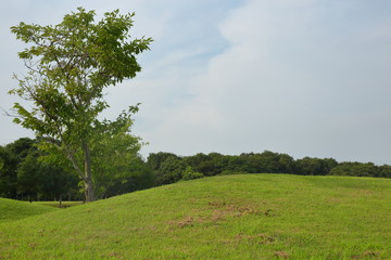 Fototapeta na wymiar Hill of lawn