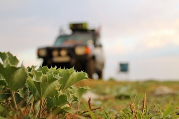 samochód terenowy 2 © skg1970