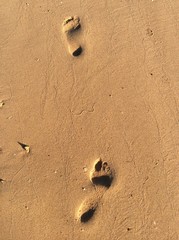 Fototapeta na wymiar invisible man. traces of bare feet on a man invisible moist sand beach