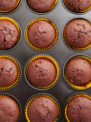 Chocolate muffins