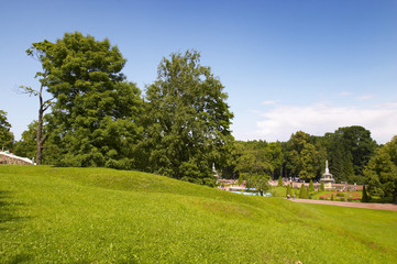Meadow landscape. Peterhof. St. Petersburg. Russia
