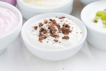 Fototapeta na wymiar delicious yogurt with chocolate