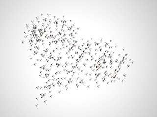 Crowd forming a a big heart