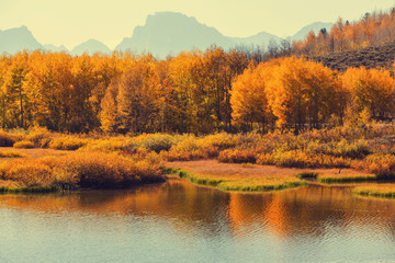 Autumn in Grand Teton