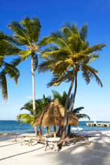 Grass umbrella on caribbean beach