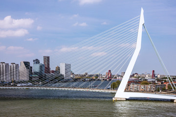 Rotterdam, Netherlands. Erasmus bridge and  harbor