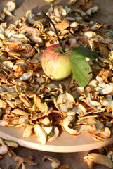 fresh apple with branch and sliced dried apples