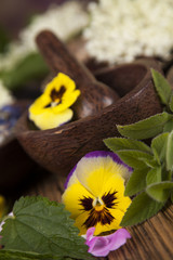 Fresh medicinal herbs on wooden background