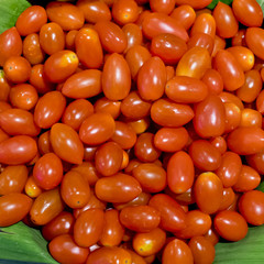 Group of fresh small tomatoes