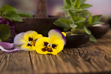 Fresh medicinal herbs on wooden background