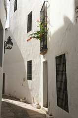 Fototapeta premium calles del casco histórico de la ciudad de Córdoba, Andalucía