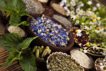 Alternative medicine, dried herbs background