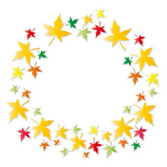 Obraz premium Bunte Herbstblätter - Herbstanfang - Herbst - Ahornblätter 