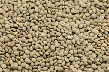 Several beans lentils variety of pardina
