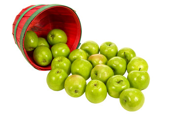 Basket Of Green Apples Spilling Out/ Apples Spilling out of basket
