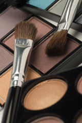 Selection of similarly coloured eye shadow and two brushes