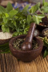 Fresh medicinal herbs on wooden background