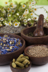 Assorted natural medical, herbs and mortar