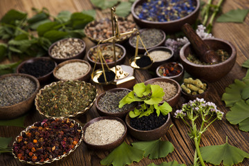 Alternative medicine, dried herbs background