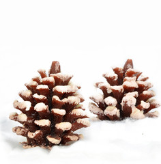 Christmas decorative background with cones