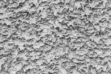 Cement surface background roughness disorder