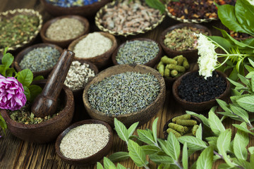 Fresh medicinal herbs on wooden background