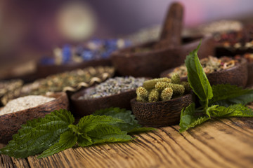 Assorted natural medical, herbs and mortar