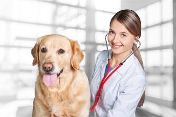 Veterinarian and pet
vet.