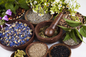 Assorted natural medical, herbs and mortar