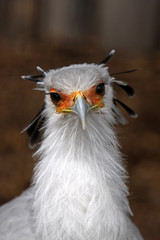 Sekretär
