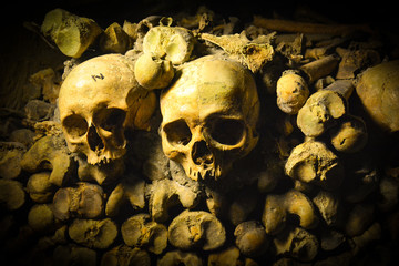 Skulls & Bones in Catacombs, Paris