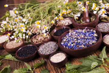 Obraz na płótnie Canvas Fresh medicinal herbs
