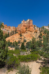 Bryce Landscape