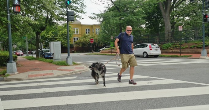 Man Walks Dog in Washington DC Neighborhood