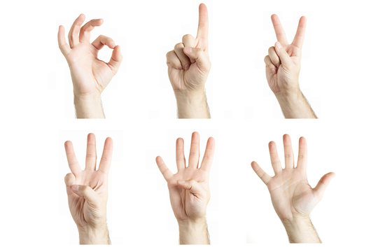 Numbers by human hand gesture