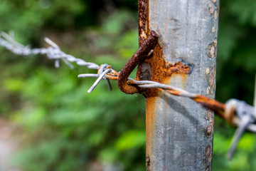 The old barbed wire.